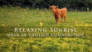 Relaxing Dawn Walk | English Countryside