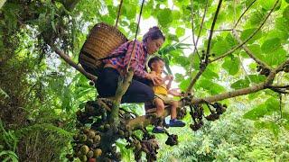 Harvest wild figs and make beds in abandoned huts