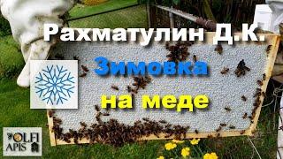 #Рахматулин Д.К. Зимовка на меде