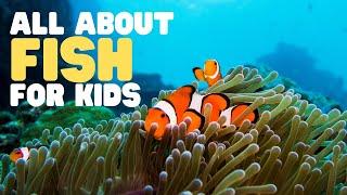 All about Fish for Kids | Learn the characteristics of fish | What is a fish?