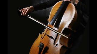 Videli Free Footage - Female musician playing the cello