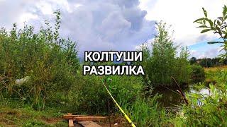 Рыбалка на Колтушском озере не удалась, а на развилке БОЛЬШОЙ КАРАСЬ