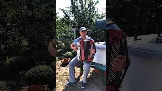 ТАНГО НОЧИ  Tango of the Night  #tango #cover #accordion #music