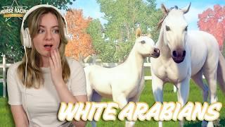 PURE WHITE ARABIAN HORSE BREEDING - Rival Stars Horse Racing | Pinehaven