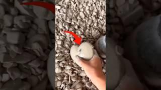 She found the most beautiful stone in the world.#facts #trend #trendingshorts
