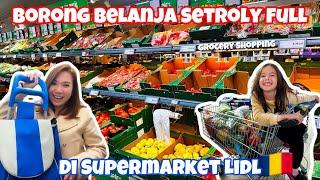 BORONG BELANJA SETROLY FULL GROCERY SHOPPING DI SUPERMARKET LIDL