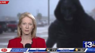 Live TV Footage That Shows Something Not Human