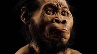 Homo Naledi - открытие, изменившее генеалогическое древо. Рассказывает антрополог Айли Марница