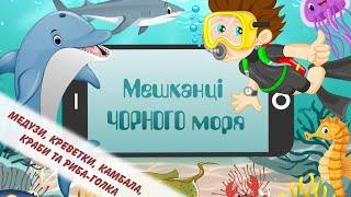 Мешканці Чорного моря (медузи, краби, креветки, камбала, риба голка). Риби Чорного моря. Дітям.