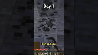 Day 1 of surviving 100 days in Minecraft