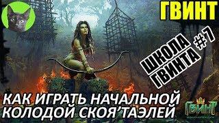 Школа Гвинта #7 - Гайд для новичков. Как играть начальной колодой Скоя'таэлей (Белок)