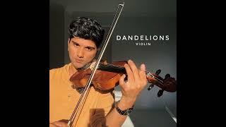 Joel Sunny - Dandelions Violin - 4 HOURS