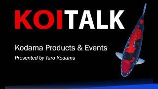 Koi Talk Series Vol. 7: Featuring Kodama Koi Farm - Products, Events and Blog Posts