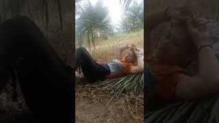 ketangkap basa lagi mantap mantap di kebun sawit