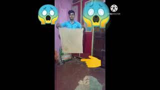 Roshan Shinde