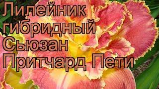 Лилейник гибридный Сьюзан Притчард Пети  обзор: как сажать, рассада лилейника Сьюзан Притчард Пети