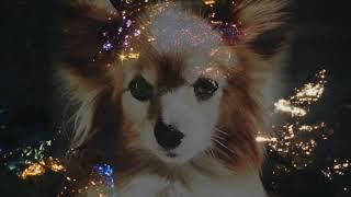 Blonde Redhead - Rest Of Her Life (Choir Version) Feat. Brooklyn Youth Chorus (Official Lyric Video)