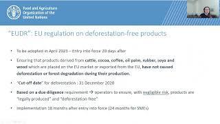 An introduction to the EU Deforestation-Free Products Regulation (EUDR)