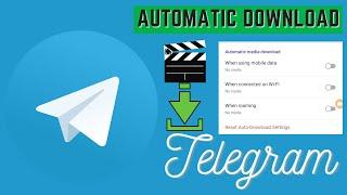 how to stop automatic media download on telegram app - How use telegram app