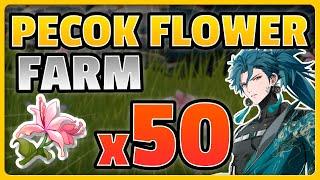 ALL 50 PECOK FLOWER  !!!   (SPEEDRUN ROUTE) |  Wuthering waves