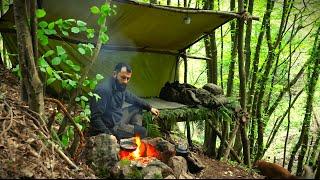 Wild Camping in Mountain Forest - Bushcraft Survival Shelter, Creek Fishing, Camp Cooking, Asmr, Diy