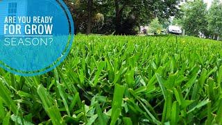 Summer Lawn Care - Things to Consider - Warm Season Grass’ Time To Shine!