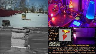 2025/1/12 Slushy Suburban Back Yard Bee Hive Security Feed & More 3D PRINTS  - Indianapolis, IN