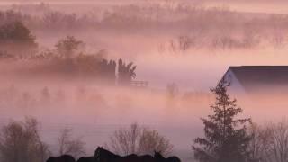 Фотоклип песни "Все тот же сон" в исп. Е.Камбуровой.