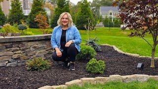 NEW No Dig Flower Bed. BEST Cardboard For Sheet Mulching. Create a Garden Bed INSTANTLY.