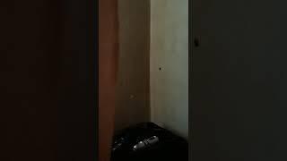ТАРАКАН ИГОРЬ (ВОЗМОЖНО ОН ЕЩЕ ЖИВ)