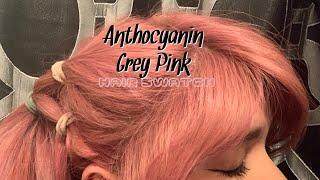 Anthocyanin Gray Pink Hair Dye Swatch