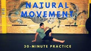 30-Minute Natural Movement Class: Circuit & Freestyle