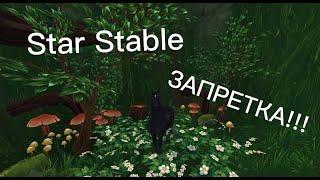 Star Stable | Запретка в Мистфоле