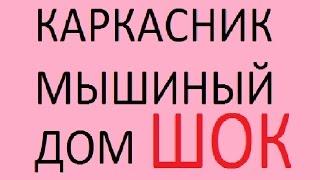 ДОМ КАРКАСНЫЙ МЫШИНЫЙ /  дом и мыши в стенах /  Разложение мышей в стенах