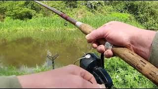 Vintage Fishing, 12’ Fiberglass rod & Mitchell 410 reel on the cut