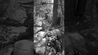 You Can Run But You Cannot Hide  #shorts #youtubeshorts #terrortrail #sebringterrortrail