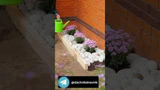 #цветы #flowerhack #лайфхаки #украшения #идеи #тренды #советы #садоводство