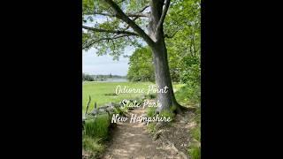 Beautiful nature trails running through the coastal forest in NH #reels #naturewalking #nature