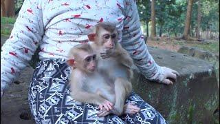 Abandoned Winky and Binky waiting for mom KT to give milk. We will miss Winky forever.