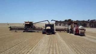 Harvest Glenvar 2007 - Wheat Australia big lexion