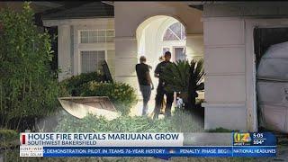 House fire reveals marijuana grow in SW Bakersfield