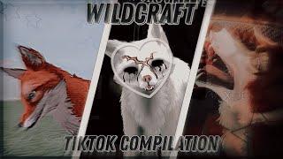 || WILDCRAFT TIKTOK COMPILATION №1 || pMD ||