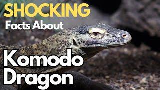 Komodo Dragons VS Crocodiles Which Reptile Reigns Supreme