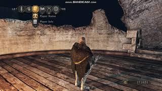 Ascended Mod для Dark Souls 2 SotFS. Как он должен работать?