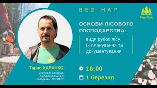 Основи лісового господарства: види рубок лісу, їх планування та документування