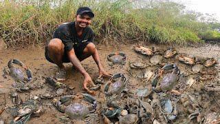 हाताने खनून काढले मोठे मोठे चिंबोरे | Big Size Crab  | DANGEROUS CRAB HUNTING | Fishing