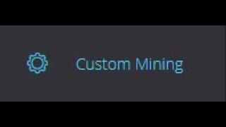 Rave OS Custom Mining Tutorial