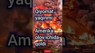 Palisades Fire in #Los Angeles Amerika yong'inlarda qoldi #losangeles #usa #yongin #olov