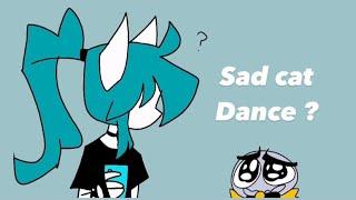 Sad cat dance meme?