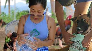 How to protect vegetables from chickens | Province life with foreigners